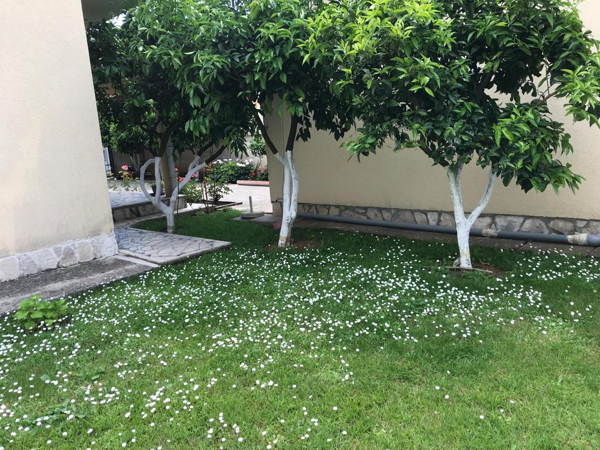 Apartment K2 Radanovici Bagian luar foto